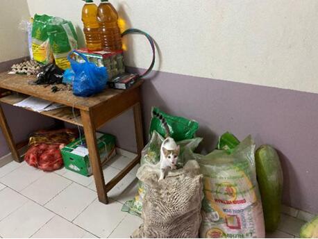 1586314520444094120.jpg QQ截图20200408104914.jpg