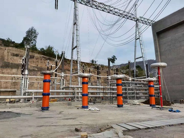 1626764253938079321.jpg 2.jpg