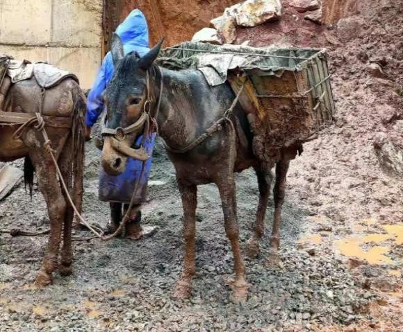 1638170418939057439.jpg 雨季运输.jpg