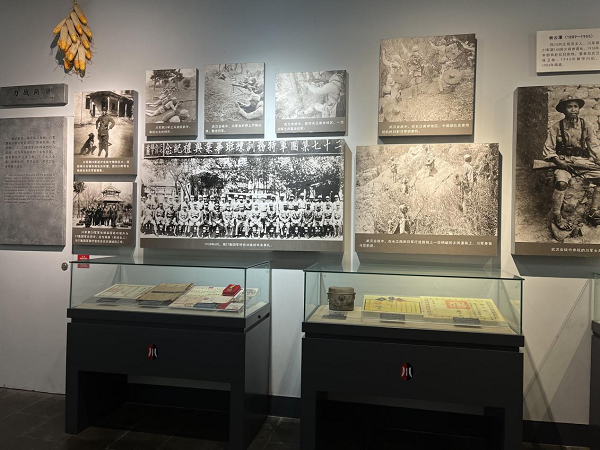 1668405627527043849.png 图片 8.png