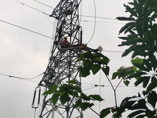 1681870455649010896.jpg 导线展放.jpg