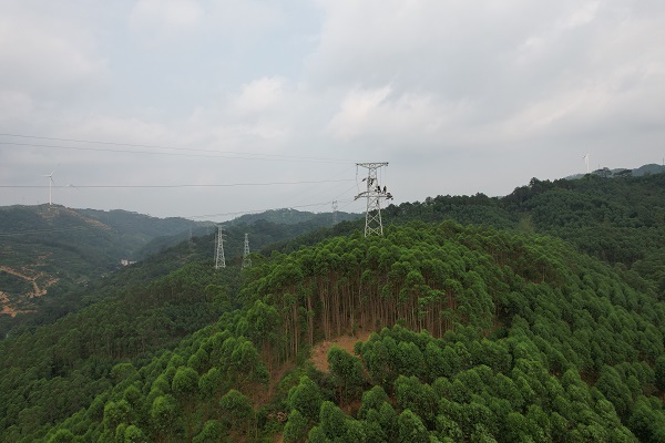 1681953787224096819.jpg 9号紧线.jpg