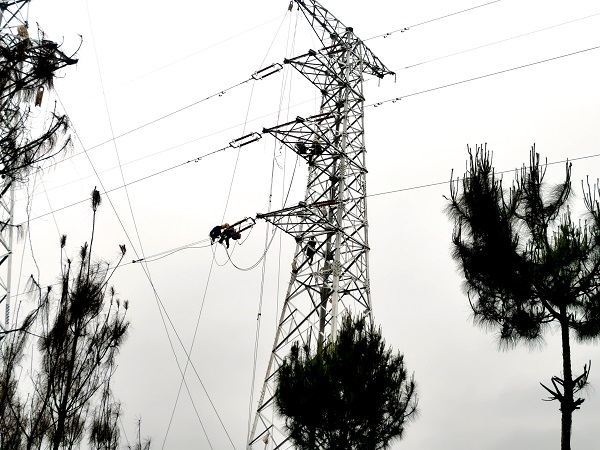 1704850793531032213.jpg 导线牵引 (2).jpg