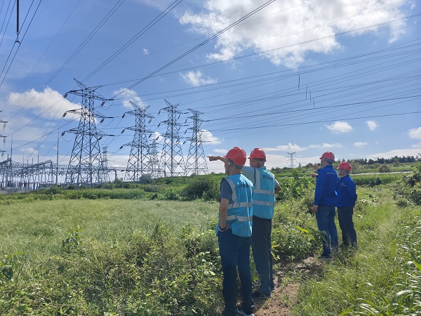 1724998944059069989.jpg 1.jpg