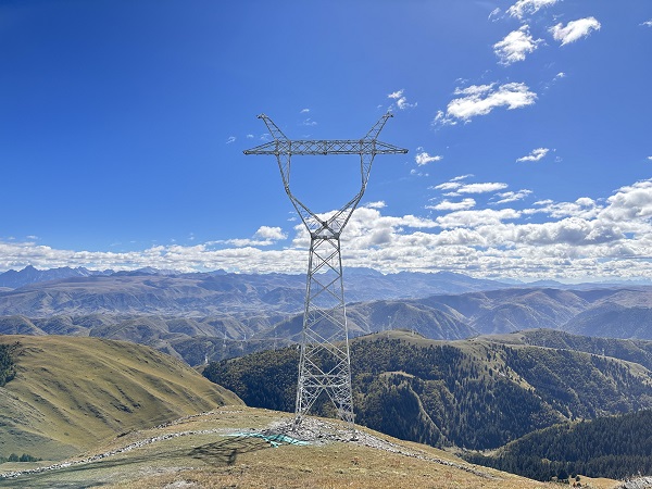 1762411527298067520.jpg IMG_1810.jpg